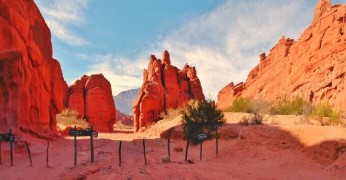 From Salta: Cafayate, Land of Wines and Imposing Ravines - Vineyard Visit in Cafayate