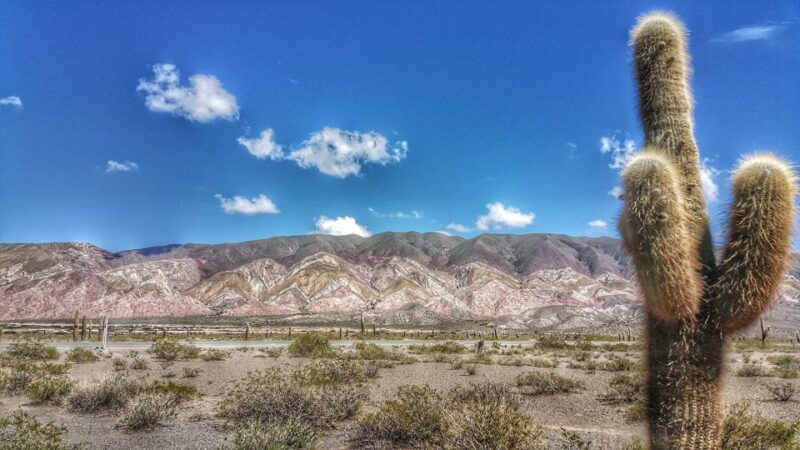 From Salta: Day Trip to Cachi and the Calchaquí Valleys - Itinerary Highlights