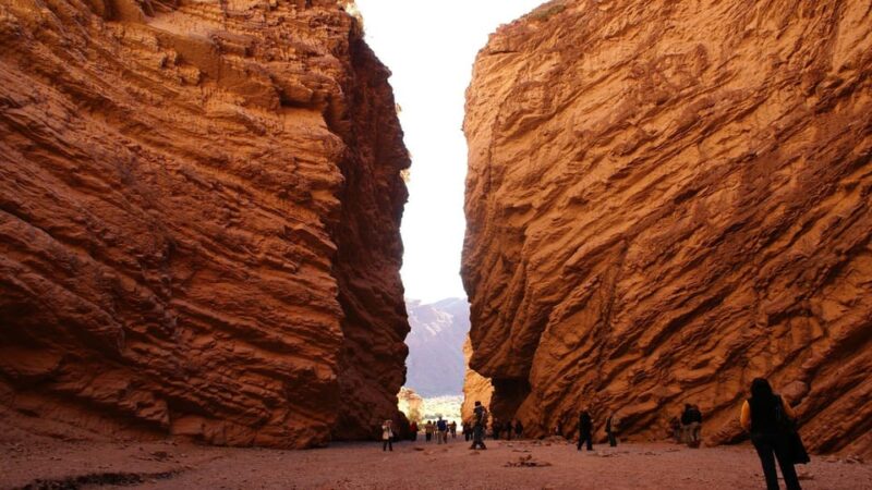 From Salta: Day Trip to Cafayate - Key Points