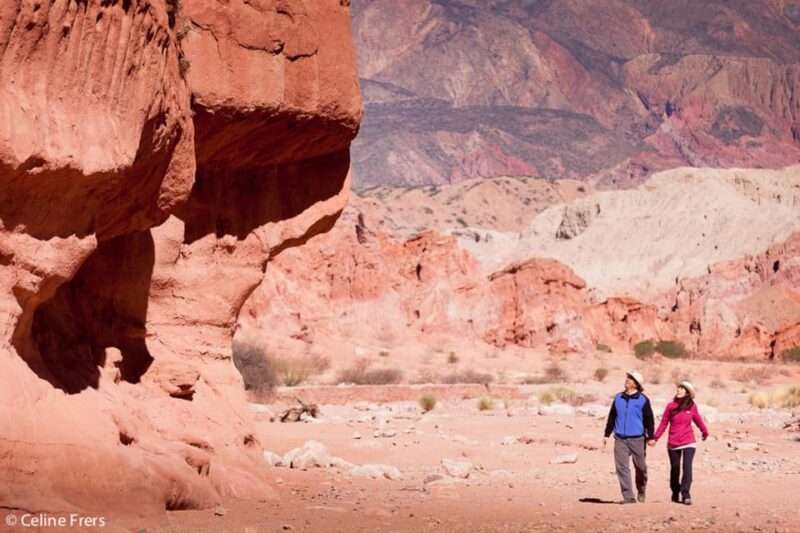 From Salta: Day Trip to Cafayate - Destination Overview