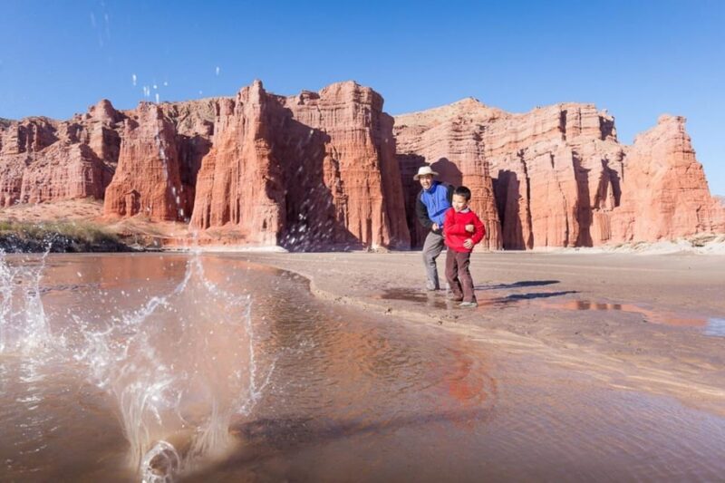 From Salta: Day Trip to Cafayate - Included Services