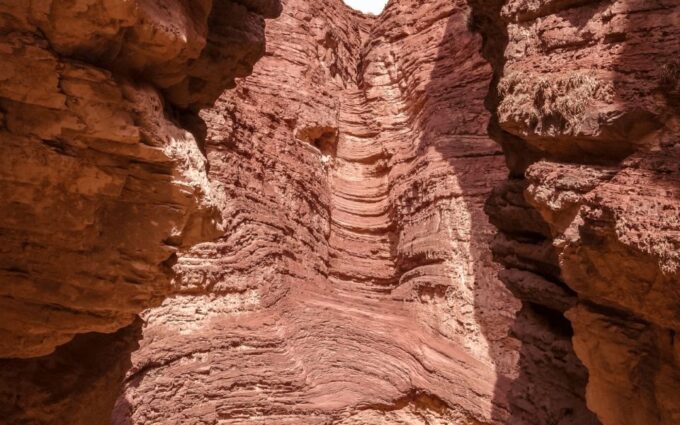 From Salta: Full-Day Excursions Through Cafayate and Cachi - Included Services and Important Information