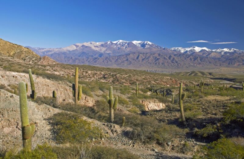 From Salta: Full-Day Scenic Tour to Cachi - Inclusions