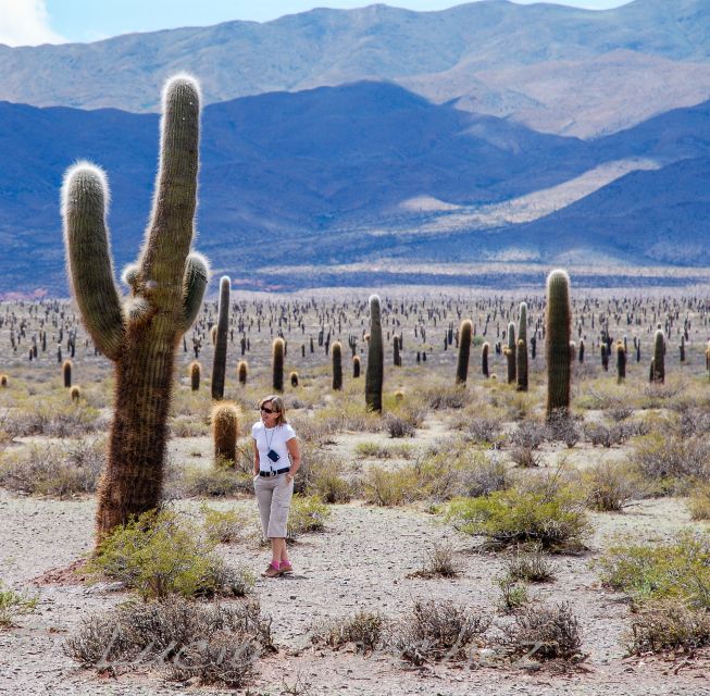 From Salta: Full-Day Scenic Tour to Cachi - Languages and Group Size