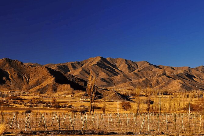 From Salta: Full-Day Tour to Cachi and Los Cardones National Park - Itinerary and Schedule