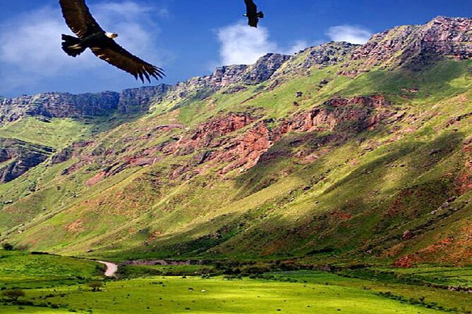 From Salta: Full-Day Tour to Cachi and Los Cardones National Park - Tour Company and Customer Service
