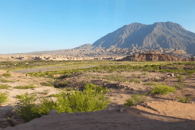 From Salta: Full-Day Tour to Cafayate, Land of Wines - Quebrada Del Rio De Las Conchas