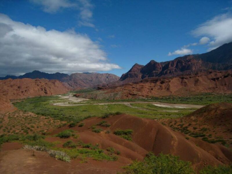 From Salta: Full-Day Tour to Cafayate With Wine Tasting - Itinerary and Experience Highlights