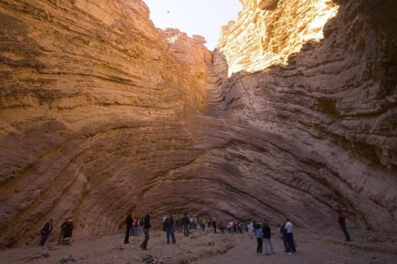 From Salta: Full-Day Tour to Cafayate With Wine Tasting - Inclusions and Transportation