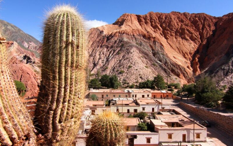 From Salta: Full-Day Tours of Cachi and Salinas Grandes - Key Points