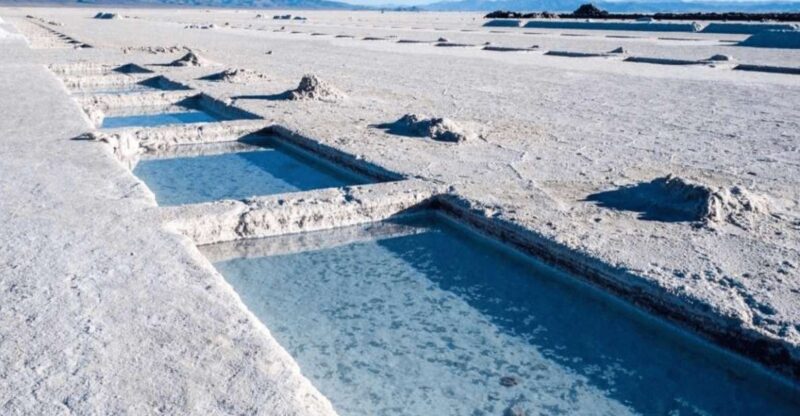 From Salta: Full-Day Tours of Cafayate and Salinas Grandes - Transportation and Logistics