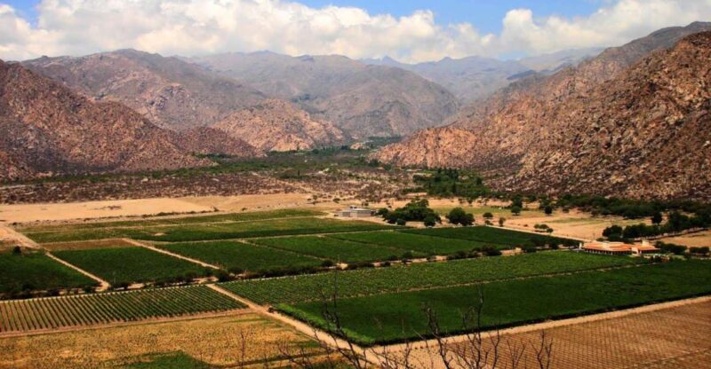 From Salta: Full-Day Wine and Valley Tour to Cafayate - Transportation and Guidance
