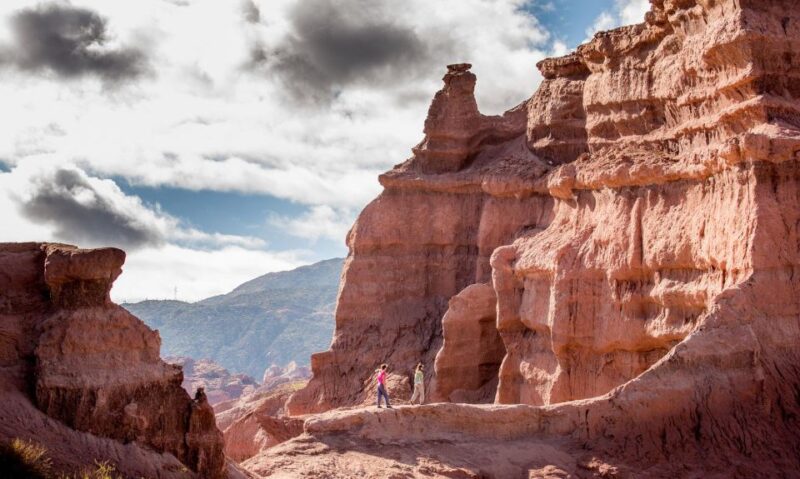 From Salta: Full-Day Wine and Valley Tour to Cafayate - Customer Feedback and Ratings
