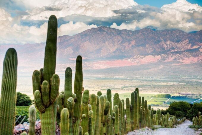 From Salta: Full-Day Wine and Valley Tour to Cafayate - Discovering Quebrada De Las Conchas