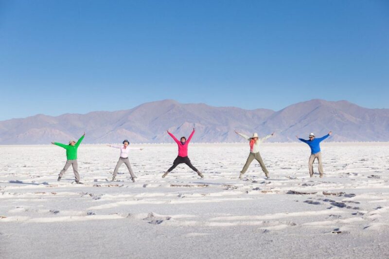 From Salta: Great Salt Flats Day Tour - Key Points