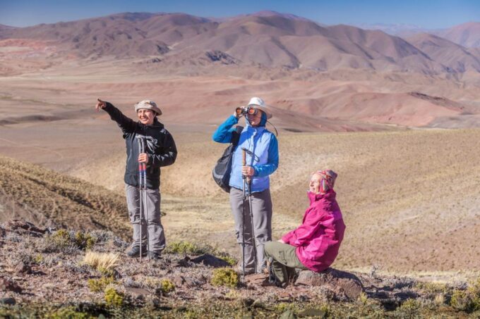 From Salta: Great Salt Flats Day Tour - Tour Name and Price