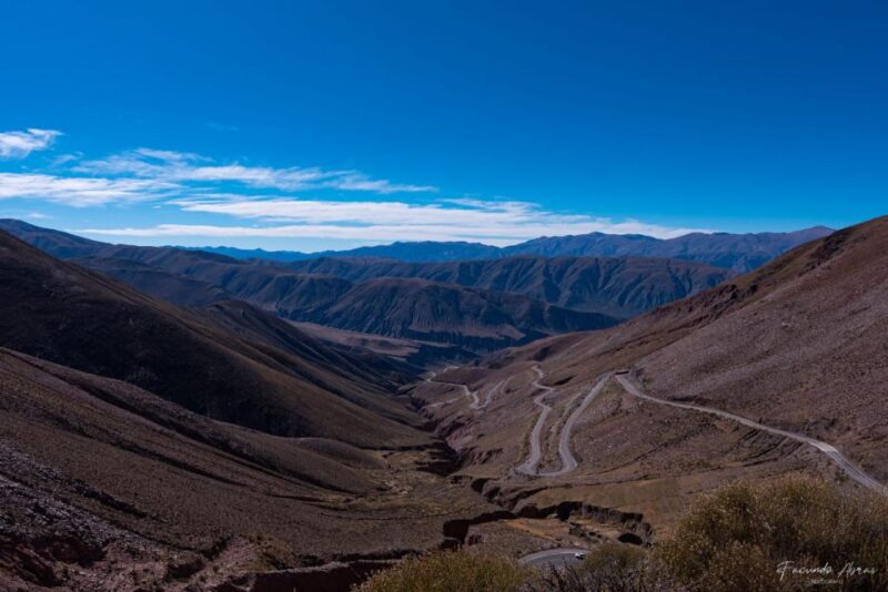 From Salta: Local Landscape, Winery, and Culture Tour - Winery and Wine Tasting