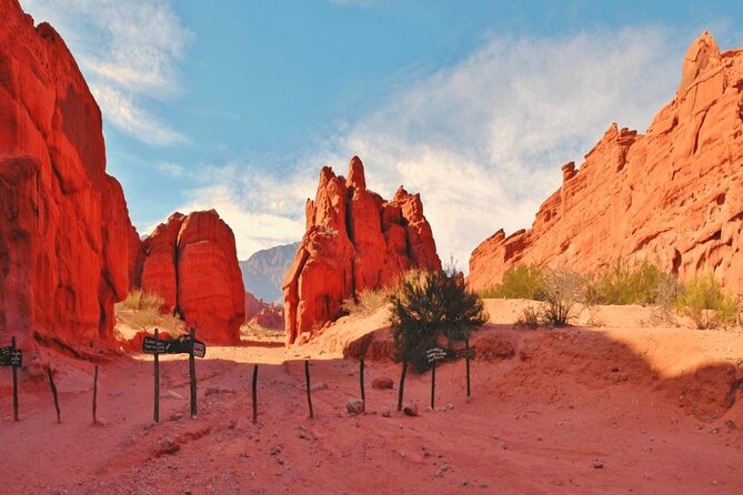 From Salta: Pack of 4 Excursions in Salta and Jujuy - Key Points