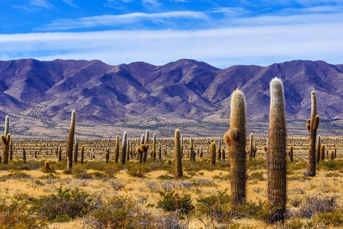 From Salta: Pack of 4 Excursions in Salta and Jujuy - Meeting and Pickup Arrangements