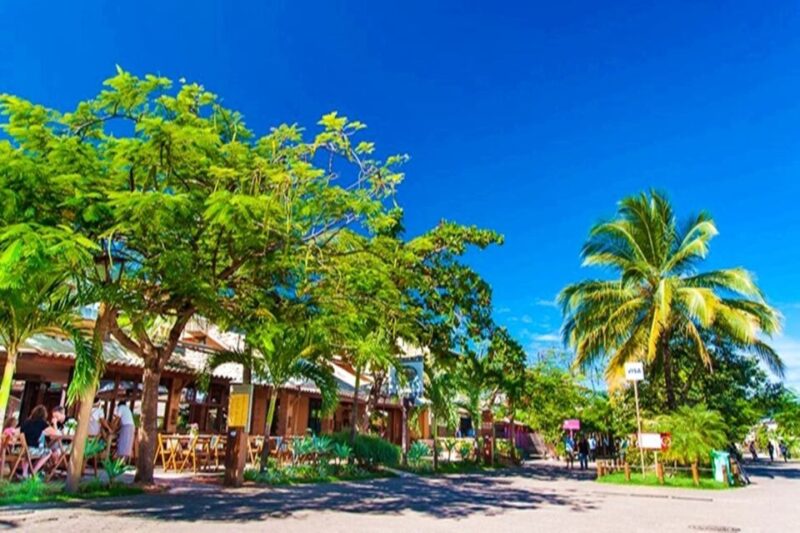 From Salvador: Praia Do Forte & Guarajuba Beach Daytrip - Booking and Cancellation