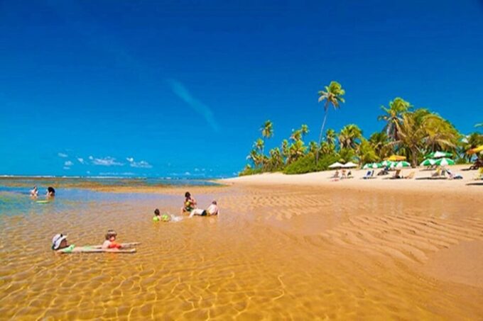 From Salvador: Praia Do Forte & Guarajuba Beach Daytrip - Pickup and Accessibility