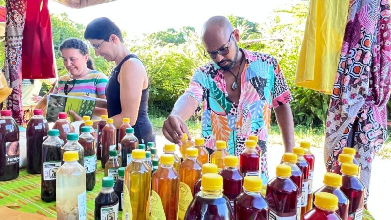 From Salvador: Quilombo Heritage Daytrip With Lunch - Colonial Heritage