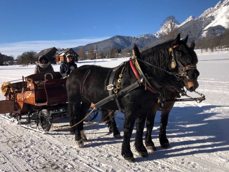 From Salzburg: 8-Hour Tour With Horse-Drawn Sleigh Ride - Key Points
