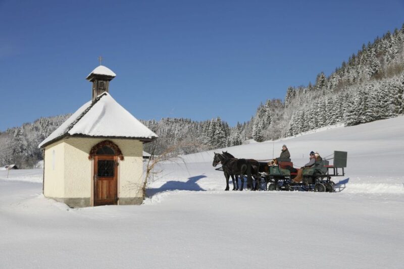 From Salzburg: 8-Hour Tour With Horse-Drawn Sleigh Ride - Sleigh and Carriage Ride