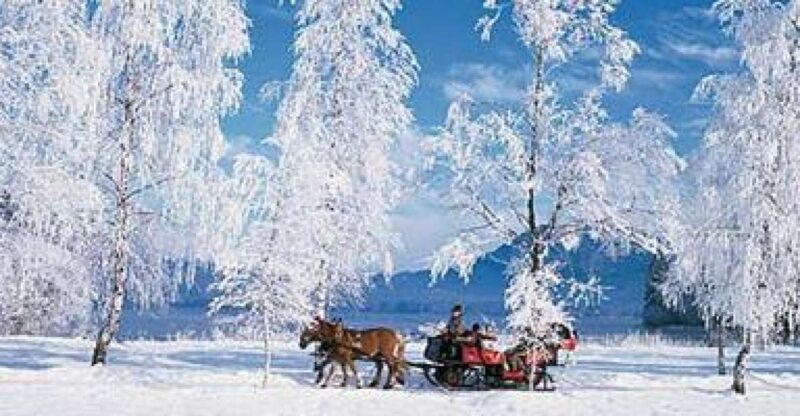 From Salzburg: 8-Hour Tour With Horse-Drawn Sleigh Ride - Exploring Ramsau at Dachstein