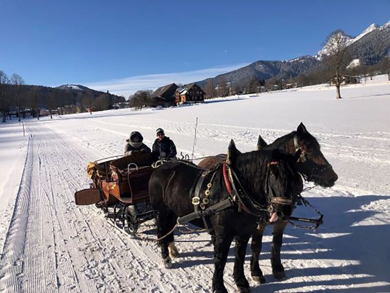 From Salzburg: 8-Hour Tour With Horse-Drawn Sleigh Ride - Meeting Point and Directions