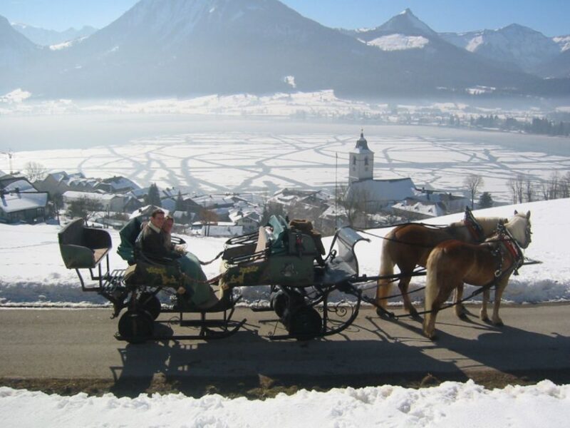 From Salzburg: Romantic Sleigh Ride Through the Countryside - Activities During the Sleigh Ride