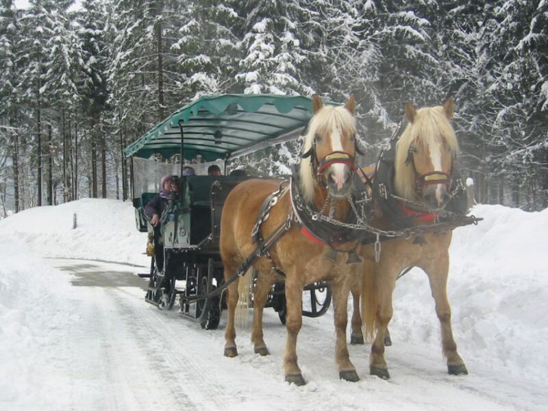 From Salzburg: Romantic Sleigh Ride Through the Countryside - Strolling Along Lake Wolfgang