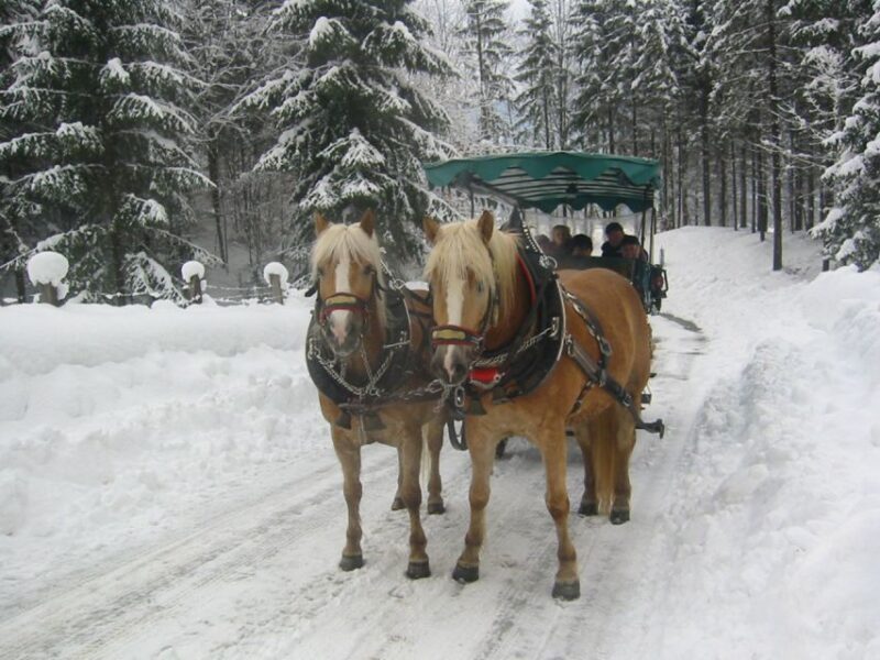 From Salzburg: Romantic Sleigh Ride Through the Countryside - Accessibility for Travelers With Mobility Impairments