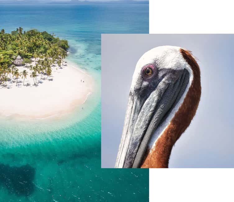 From Samana: Los Haitises Boat and Walking Tour with Lunch - Final Thoughts