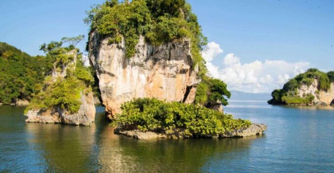From Samana: Los Haitises Boat and Walking Tour With Lunch - What to Expect on the Tour