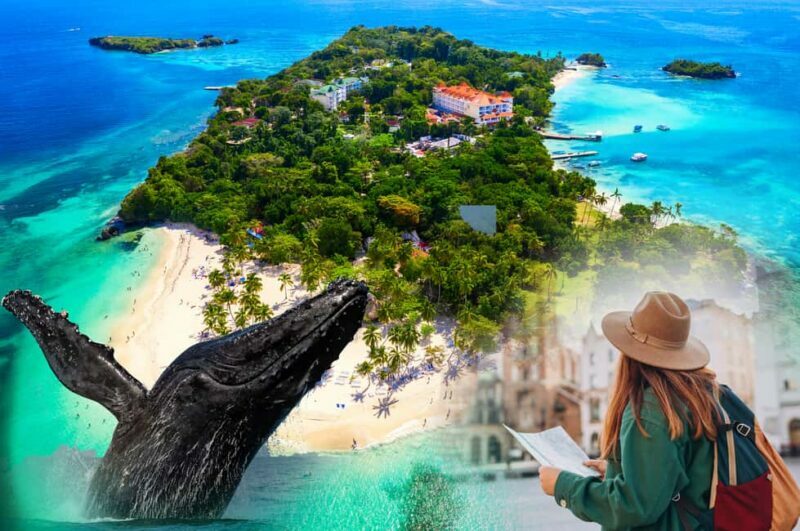 From Samaná: Whale Watching and Cayo Levantado Island Tour - Who Should Consider This Tour?