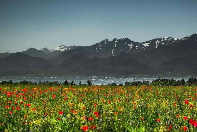 From Samarkand: Shahrisabz Private Day Tour - The Sum Up