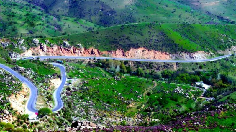 From Samarkand: Shahrisabz Tour via Mountain Pass - Local Culture and Cuisine: Flexibility and Authenticity