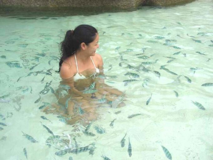 From Samui: Ko Tao and Koh Nang Yuan Speedboat Day Trip - Booking Information