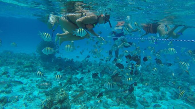From San Andrés: Full-Day San Andrés Bay Snorkeling Cruise - Recommendations