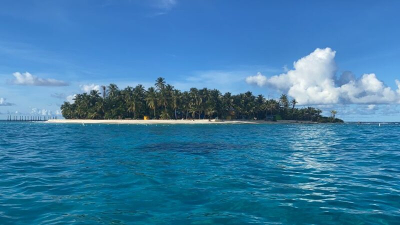 From San Andrés: Speedboat Tour to Johnny Cay Island - Tour Overview