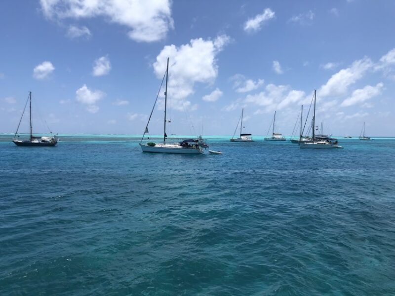 From San Andrés: Speedboat Tour to Johnny Cay Island - Exploring Johnny Cay Island