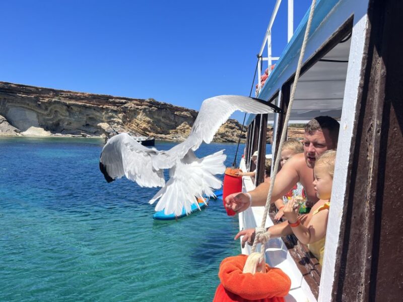 From San Antonio : Family Boat Cruise With Lunch - Highlights of the Tour