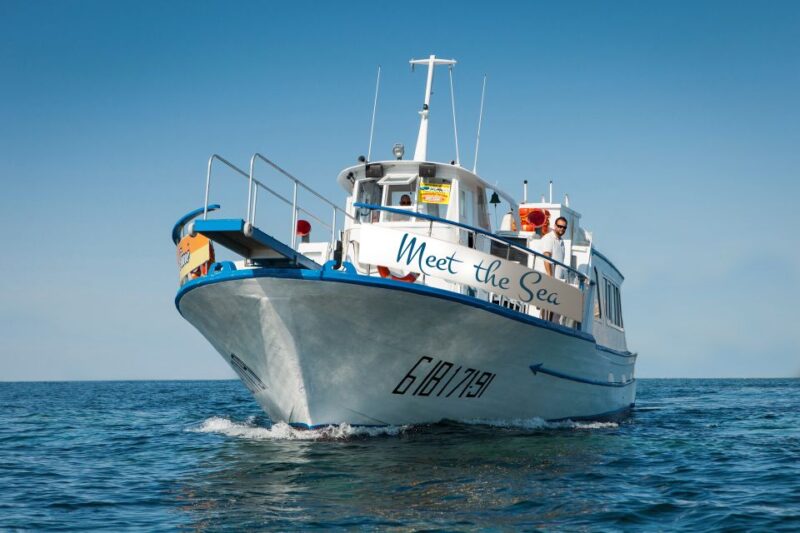 From San Antonio : Family Boat Cruise With Lunch - Family-Friendly Activities
