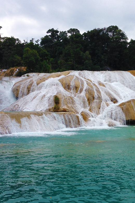 From San Cristóbal: Agua Azul and Palenque Day Trip - Customer Ratings and Feedback