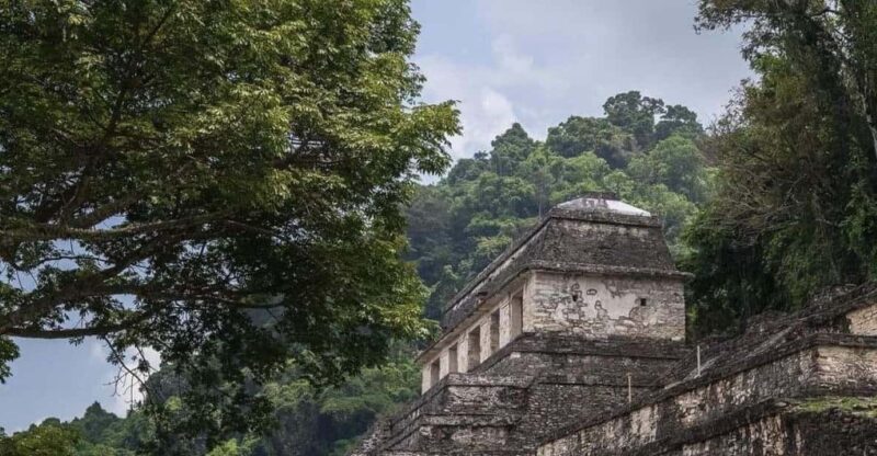 From San Cristóbal: Lacandon Jungle 3 Days Tour - Key Points
