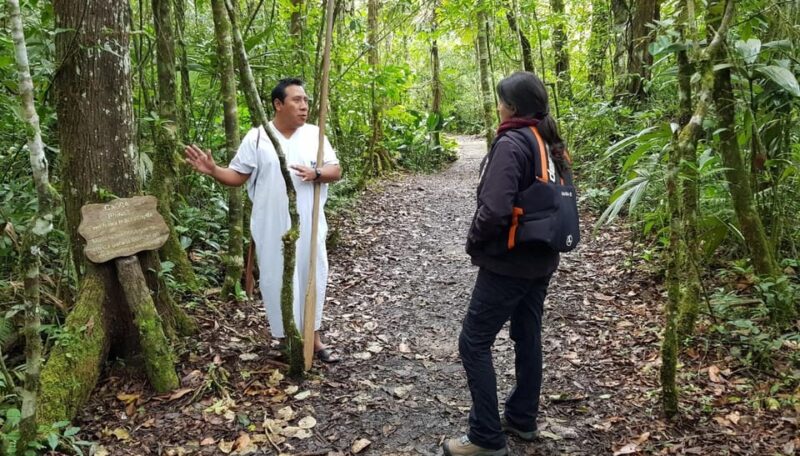 From San Cristóbal: Lacandon Jungle 3 Days Tour - Included in the Tour