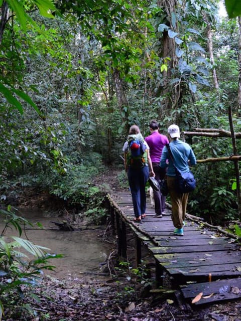 From San Cristóbal: Lacandon Jungle 3 Days Tour - Frequently Asked Questions