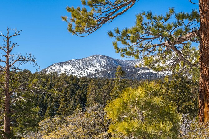 From San Diego: Two-Day Camping and Hiking Adventure in Idyllwild - Meeting and Departure Details