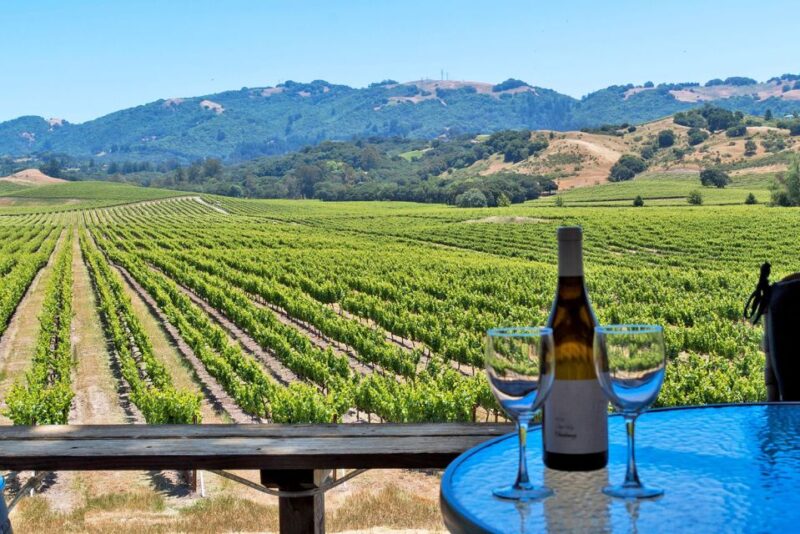 From San Francisco Bay Area: Sonoma Valley Wine Tour - Pricing and Booking